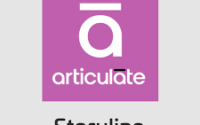 Articulate Storyline 3.19.29010.0 + Crack