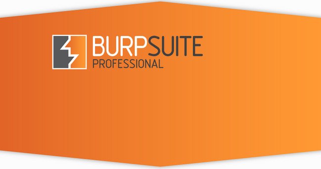 Burp Suite Pro 2022.8.2 Crack